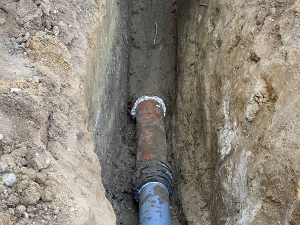Best Basement water damage restoration  in Twinsburg Heights, OH