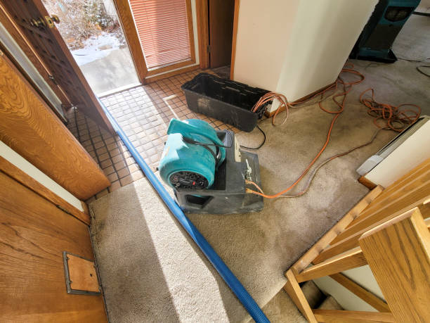 Best Water damage restoration near me  in Twinsburg Heights, OH