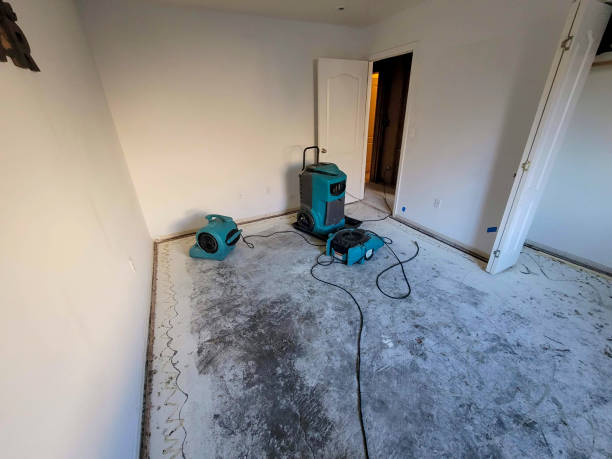  Twinsburg Heights, OH Water damage restoration Pros