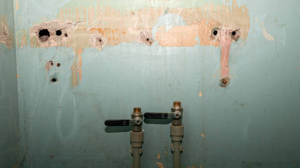 Best Mold removal after water damage  in Twinsburg Heights, OH