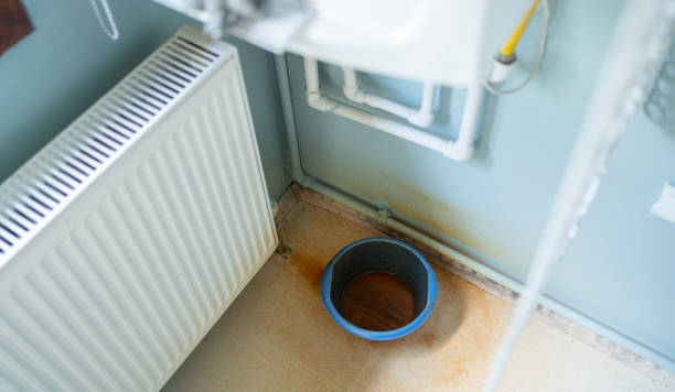 Best Water damage cleanup near me  in Twinsburg Heights, OH