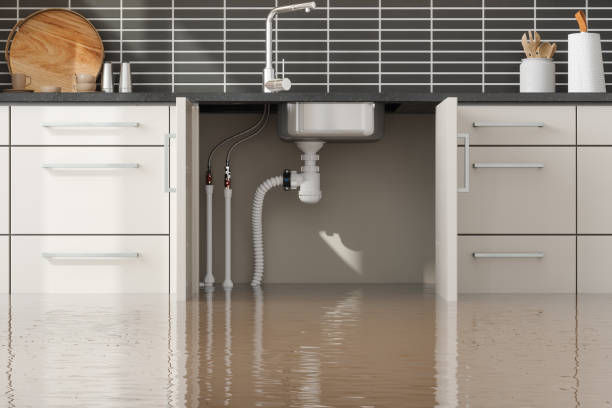 Best Flooded house restoration  in Twinsburg Heights, OH