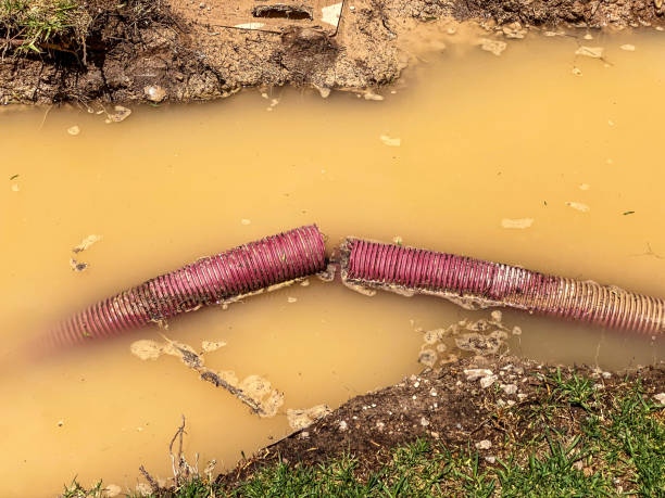 Best Water damage restoration process  in Twinsburg Heights, OH