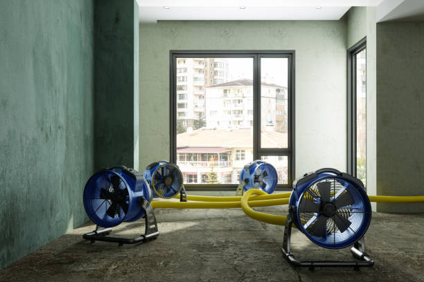 Best Residential water damage restoration  in Twinsburg Heights, OH